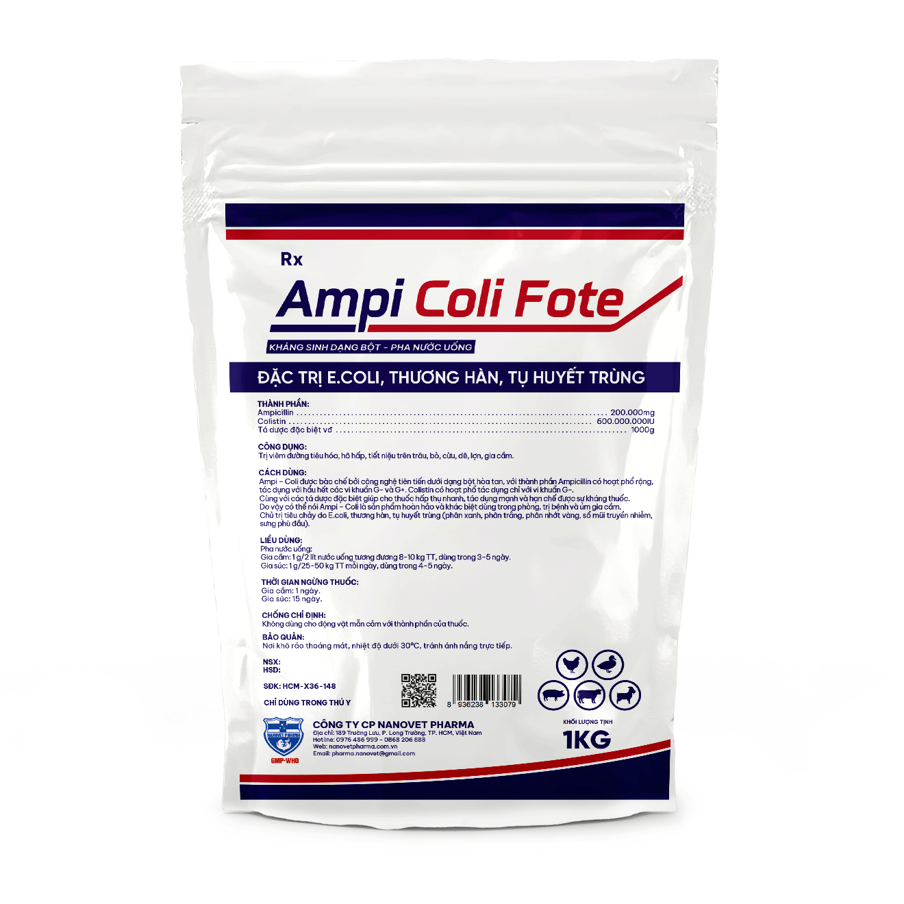 AMPI COLI FOTE