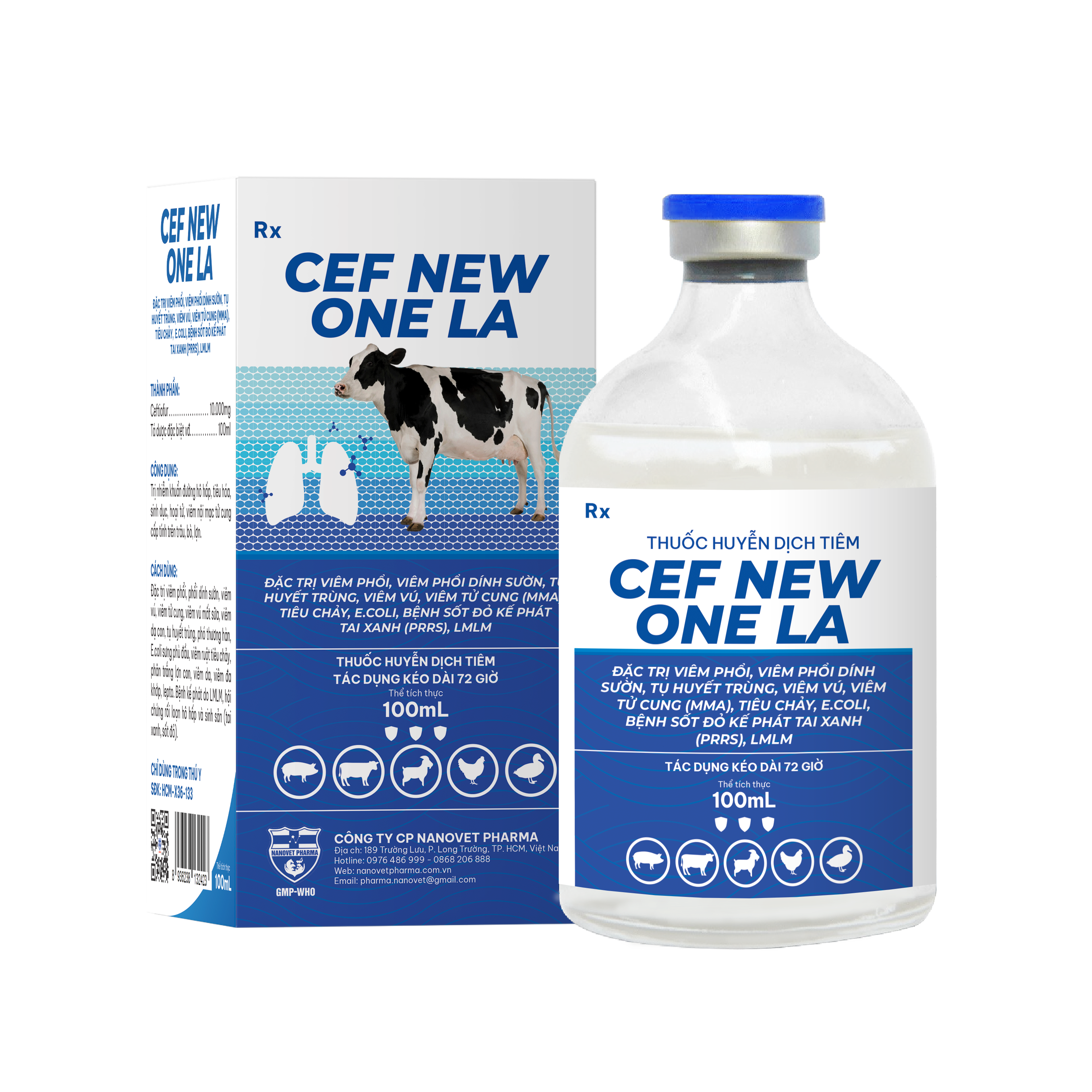 CEF NEW ONE LA