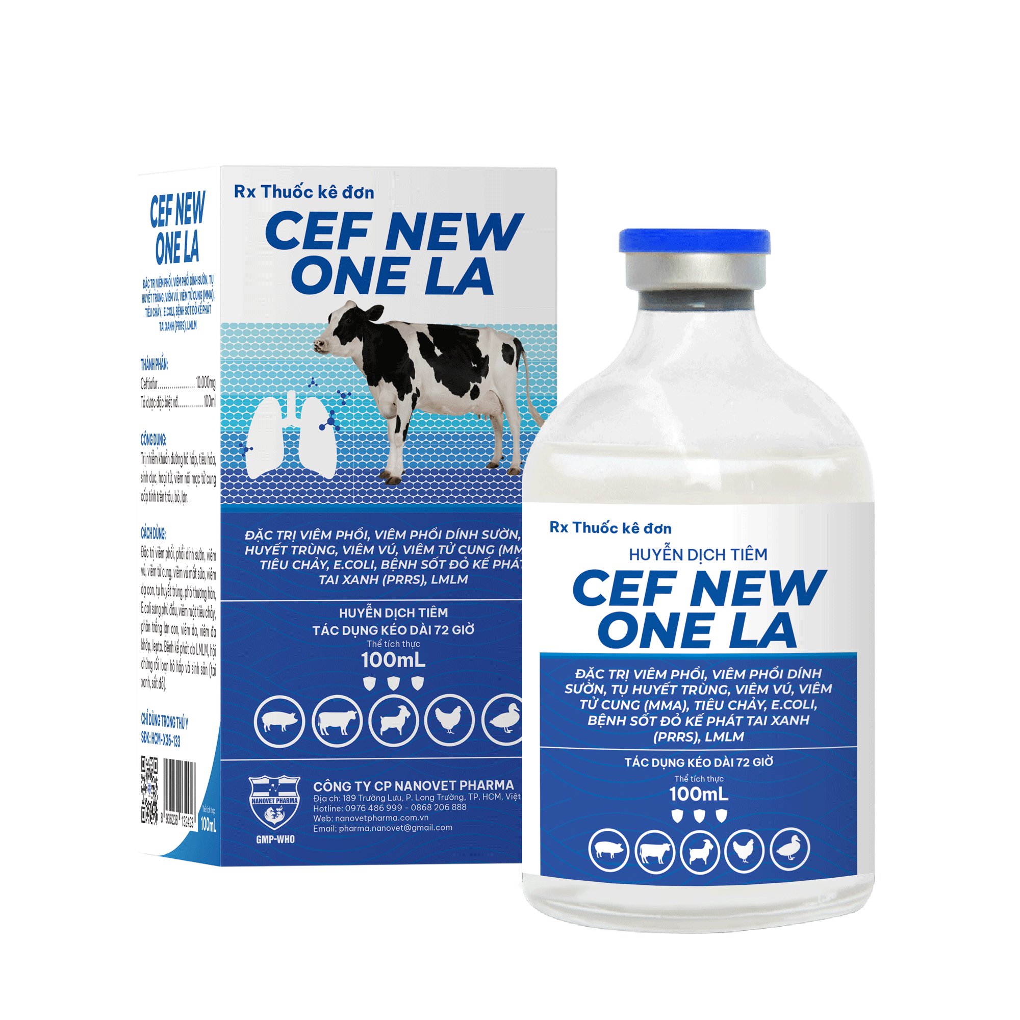 CEF NEW ONE LA