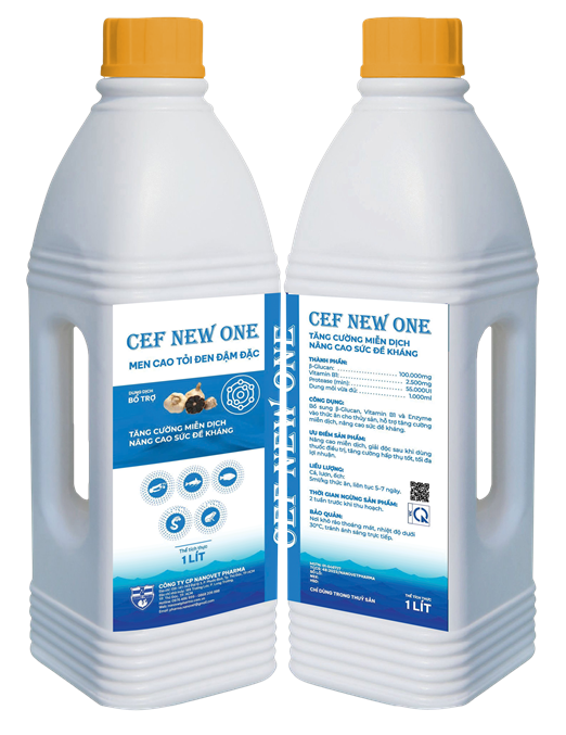 CEF NEW ONE