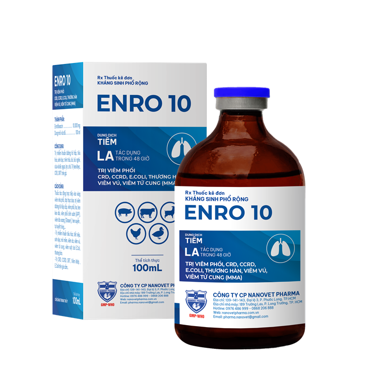 ENRO 10