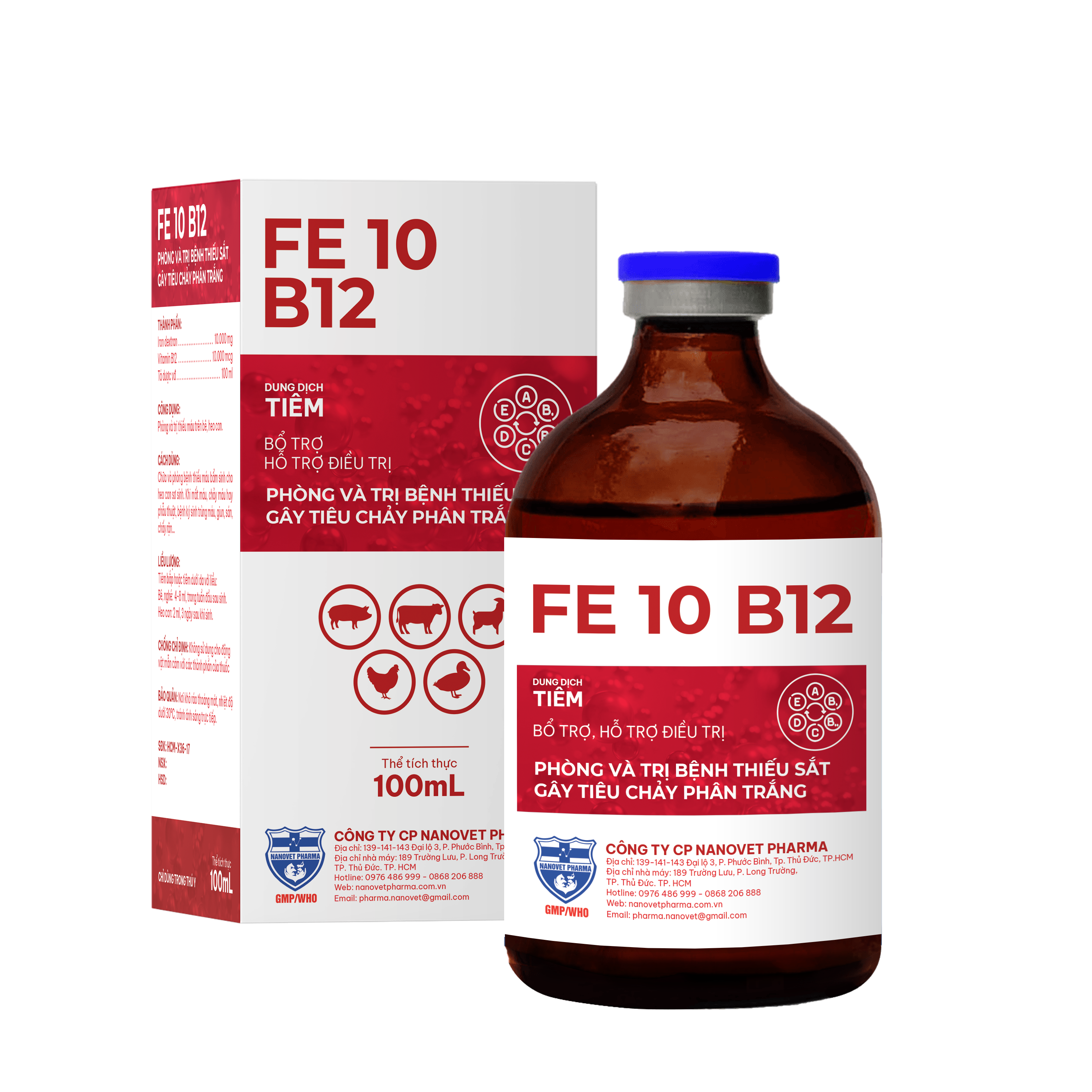 FE 10 B12