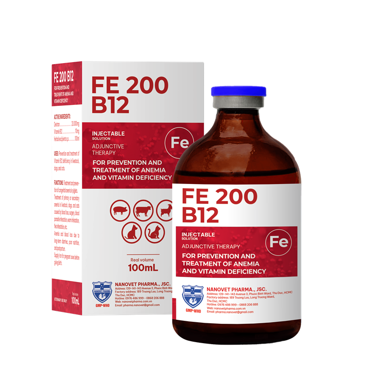 FE 200 B12
