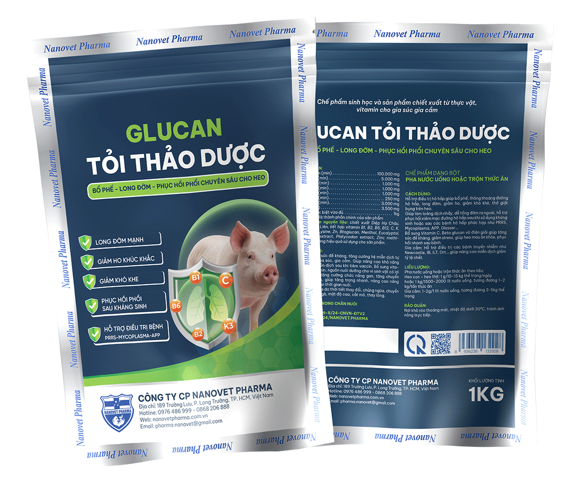 GLUCAN TỎI THẢO DƯỢC