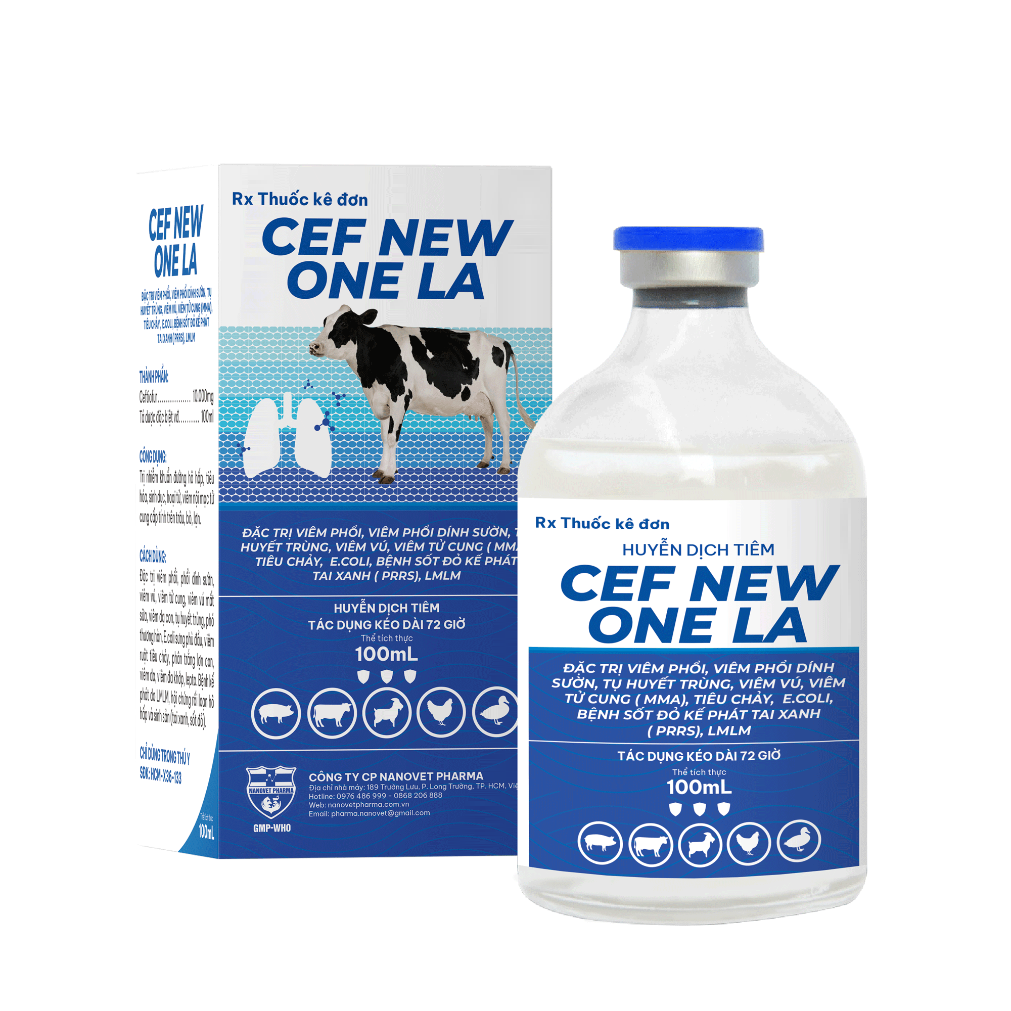 CEF NEW ONE LA